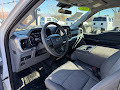 2021 Ford F-150 XL 4WD! REG CAB!
